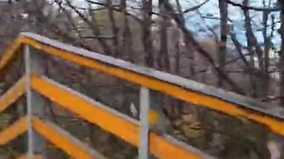 Slutty redhead gives a nice blowjob to an older guy outdoor and takes his cum in her mouth