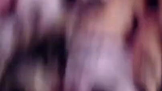 Fur Cam Show
