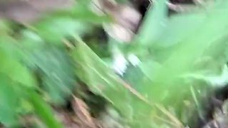 Stepsister-in-law Ko Pise Gad Maari Mein Soup Ke Se Bula Aur Gad Maari Mujhe Maza Aaya Pise Gad Maar Ne Me Bahot Bahot Maza Aaya Bhabhi Ko Bhi Maza Aur Muje