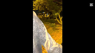 neighbor wants my milk