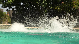 Tiffany Nacke "sex for Payment&quot