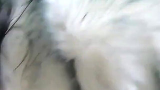 Milfycalla Blowjob in Fur Coats Cum All Over My Expensive Furs