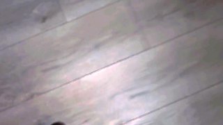 Humiliation: a Pussy Doll for You, My Pussy Will Now Remain Inaccessible - Maitresse Julia