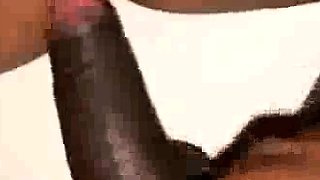 Young Sexy Ebony gets creamy on BBC doggystyle dd