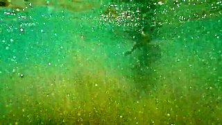 Emma Voyeur Naked Underwater Pool Play - Amateur MILF Tease Big Ass & Titties Flashing