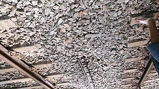 Down South Beach Sex Worker