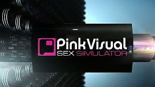 This virtual porn scenario created by a PinkVisualGames.com
