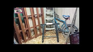 Spanking in Haystack