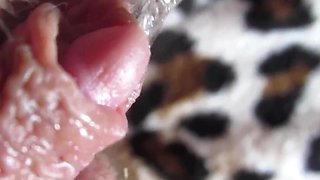 Big Clit Teasing & Real Wet Clitoral Orgasm In Exciting Close-up