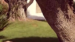 That Bride Slut Wants This Cock Put Everywhere