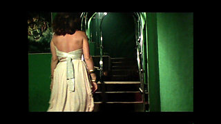 Valentina Ragazza in Calore (full Movie)