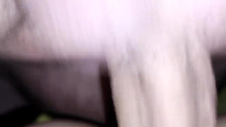 Hairy balls and hairy clit with lot of sperm dripping
