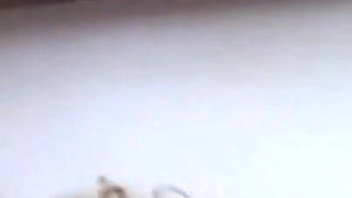 Lesbian action with hot blonde and brunette