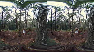 Nataliia Nude In The Forest - Bliss Vr - Sexlikereal