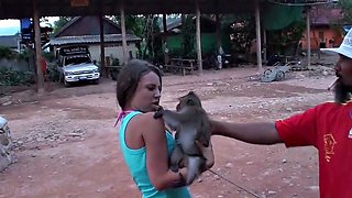 Hot amateur vacation fuck
