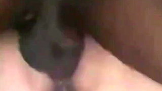WildEnglishBBW BBC. Nata4sex eating, drilling my fat wet pussy