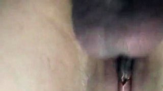 Arab Couple Brings in Big Dick Bull to Cuck Them