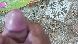 Beautiful girlfriend sucking deep throat loves