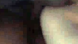 Homemade Husband and Wife Fucking pp
