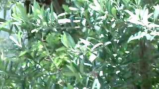 Tania Kiss: a Little Pee in Nature for the Young French Tania Kiss