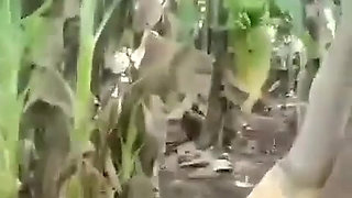 Aunty with Her Lover Catch by Husband