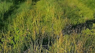 Outdoors. Risky Sex with a Random Nymphomaniac Stranger