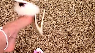 Amateur Foot Fetish Girlfriend Sucks and gives a Footjob