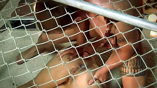 Revelation #02 Mental Domination - (The Movie)