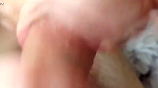 Hottest Teen Cumshots Compilation Part 6 - Amateur POV HD