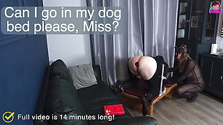 Training Zero Femdom Bondage BDSM Human Furniture Spanking Punishment Slave Real Homemade Amateur Couple Milf Stepmom Wife FLR