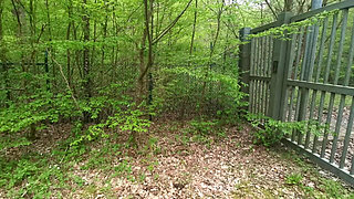 Get All Naked and Let Me Punish Your Tits