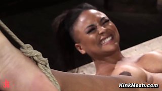 Avery Jane Kinked Dominated Pleasure