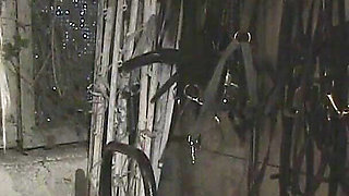 Riding Crop Mistress Whipped My Cock Extreme Hard