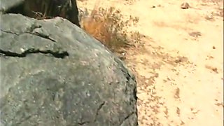 Big Tittie Blondie Milf Is So Hot While Having Sex On The Beach With Briana Banks And Dave Hardman