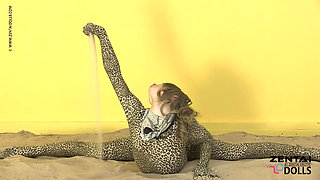 Contortion Show