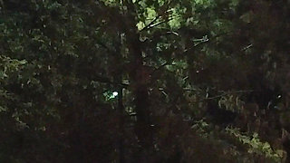 Thick BBW Wife Public Fun!