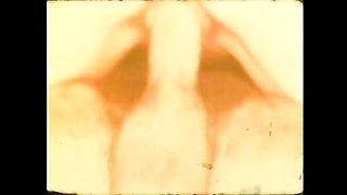 Candida Royalle the Pig Sucks Cock