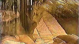 Janes Big Dick Anal brunette sex anal blowjob cumshot