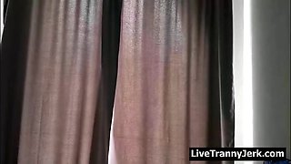 transsexual dick live 858