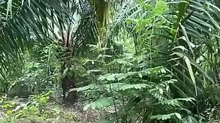 Viral Sejoli Di Hutan