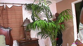 Lovely and Bored Black Girl with Big Natural Tits Calls Her Favorite Boyfriends for Threesome