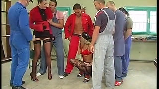 My trusted mechanic - DVD