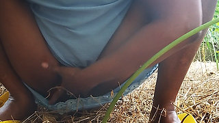 Fingering in a Forested Area