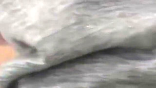First Time Meeting - Shy Amateur Man and Woman Try a Close Cuddling Relaxation Session - Part2