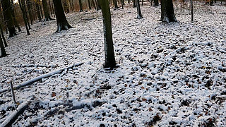 Throwing Snow Balls on Her Naked Tits in the Woods