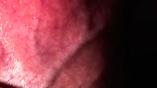 Goddess Anya Queen’s POV View Extreme Oral & Wet Asmr