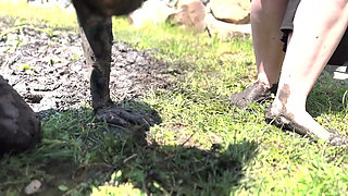 Piggy Humiliation in Mud, Playing with Nettles and Licking Our Feet Nice and Clean