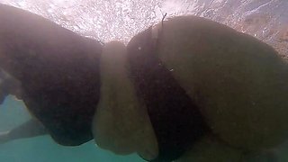Real amateurs naked outdoor beach orgy
