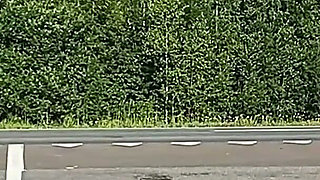 They Tease Drivers on the Highway