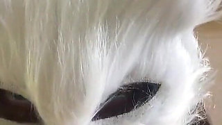 Today I'm a Naughty Kitten Who Wants Milk